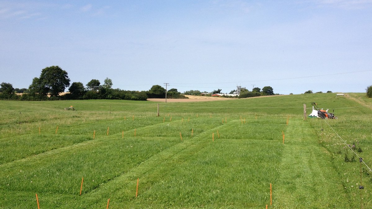 Eine Landschaftsaufnahme von einer Weide.