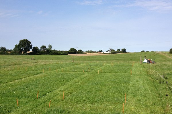 Eine Landschaftsaufnahme von einer Weide.