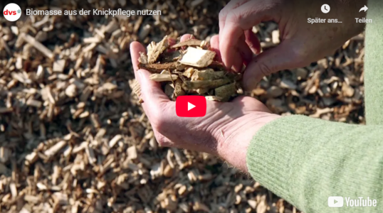 Screenshot eines YouTube-Videos mit dem Titel 'Biomasse aus der Knickpflege nutzen', zeigt Hände, die Holzschnitzel halten, mit Holzschnitzeln im Hintergrund