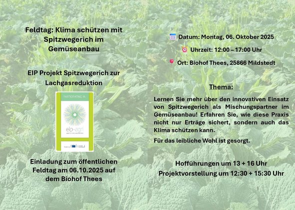 Im Hintergrund Pflanzen zu sehen davor ist Schrift die zu dem Feldtag am 6 Oktober 2025 einlädt