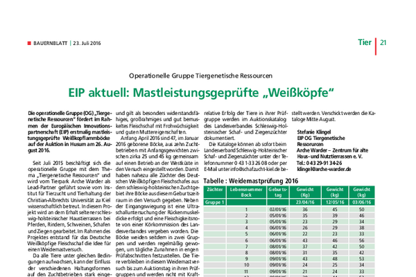 EIP aktuell: Mastleistungsgeprüfte "Weißköpfe"