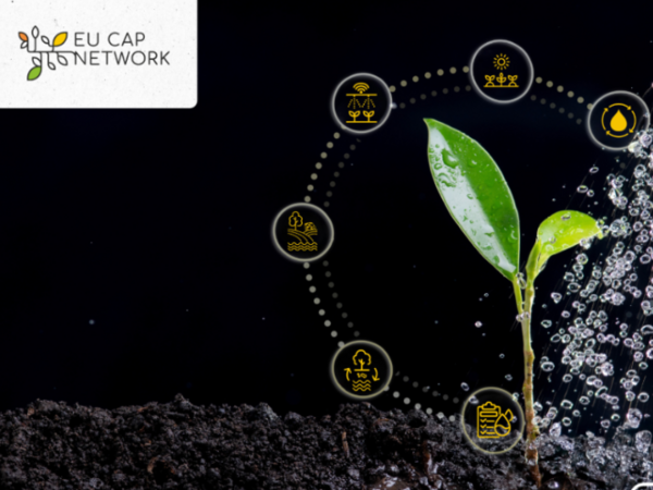 [Translate to Englisch:] Eine junge Pflanze vor einem dunklen Hintergrund mit dem Logo vom EU-CAP-Network
