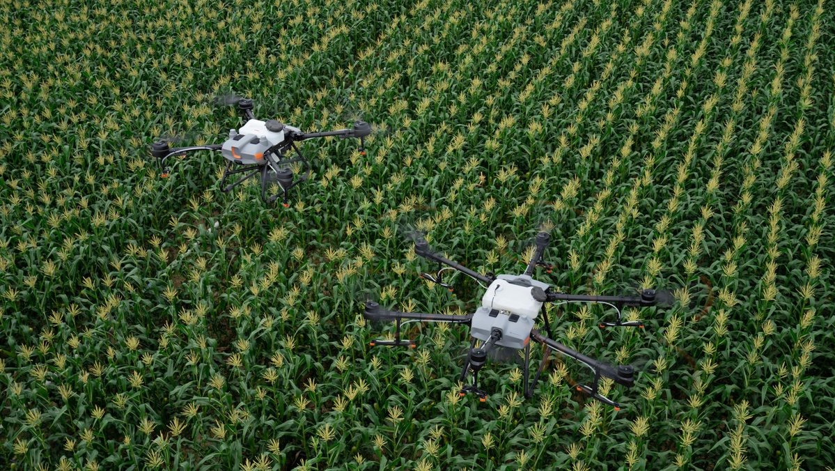 Agricultural drones fly over a field.