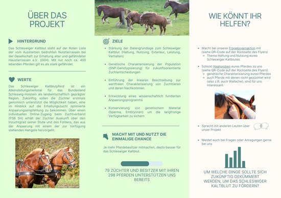 Projektflyer Seite 2