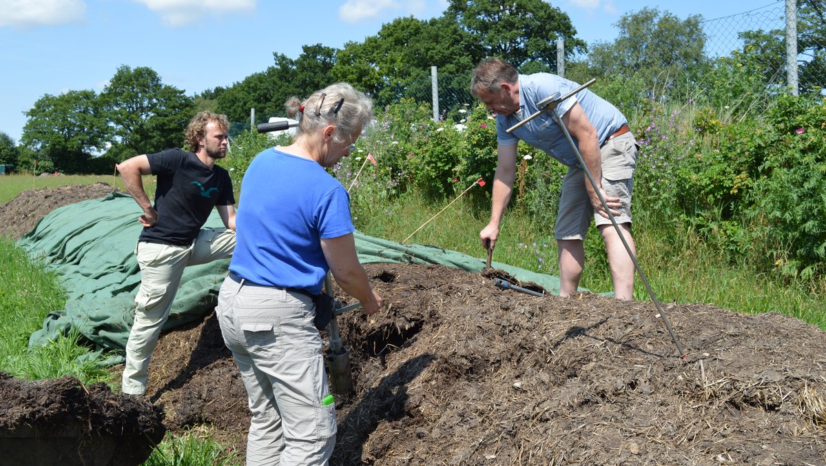 Drei Menschen arbeiten an einem Komposthaufen