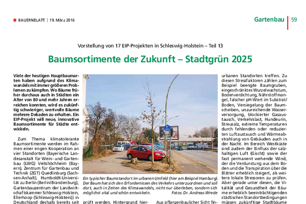 Baumsortimente der Zukunft- DStadtgrün 2025