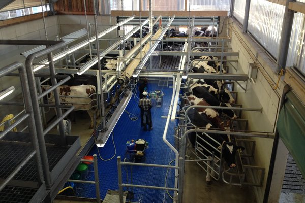 Ein Melkstand von oben.