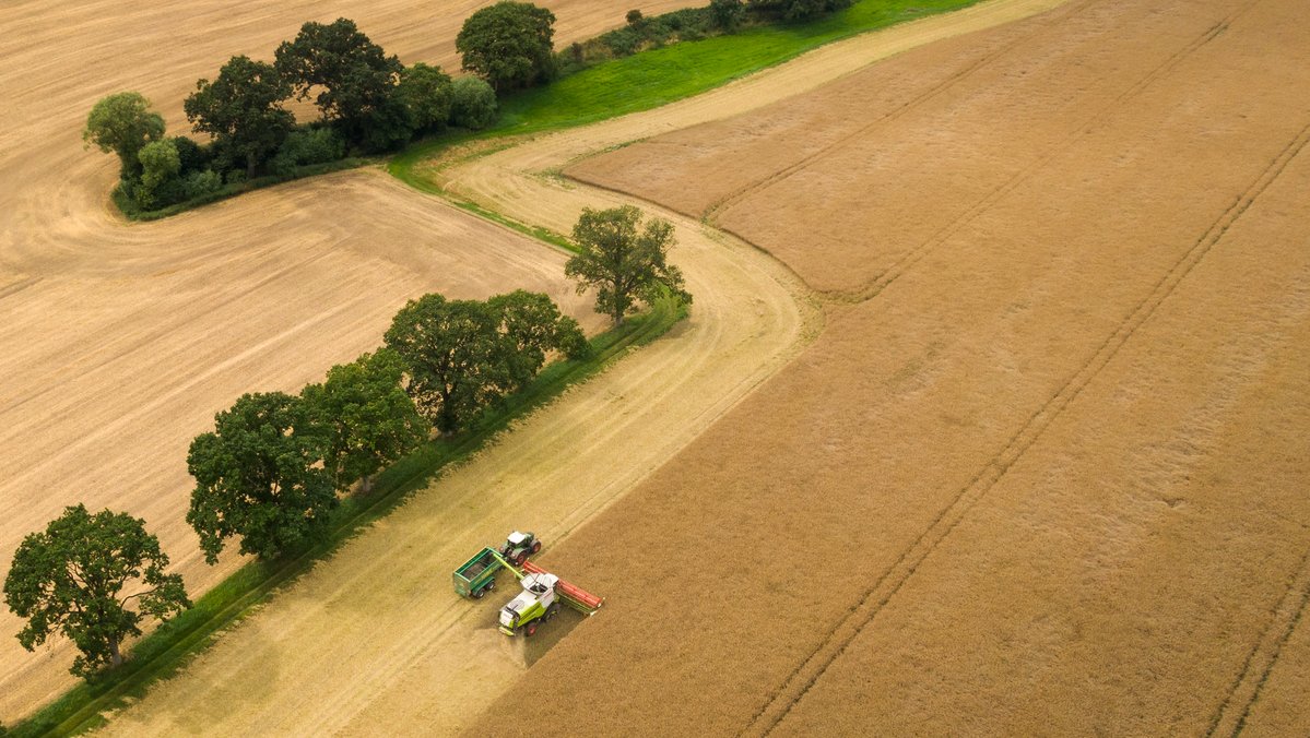 crop field being harvested