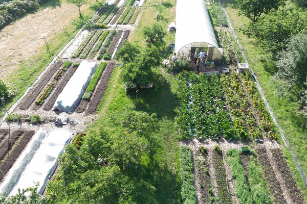 An aerial view of a vegetable garden with a greenhouse. 