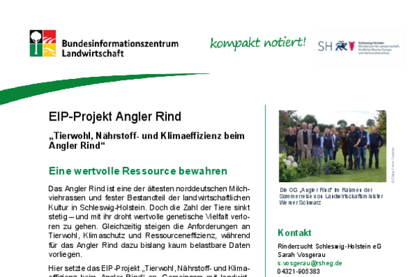Praxisblatt der OG Angler Rind