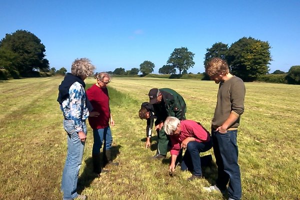 Eine Gruppe von Menschen steht und kniet auf einem Feld, um die Pflanzen dort zu untersuchen.